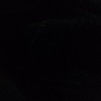 Moreninha